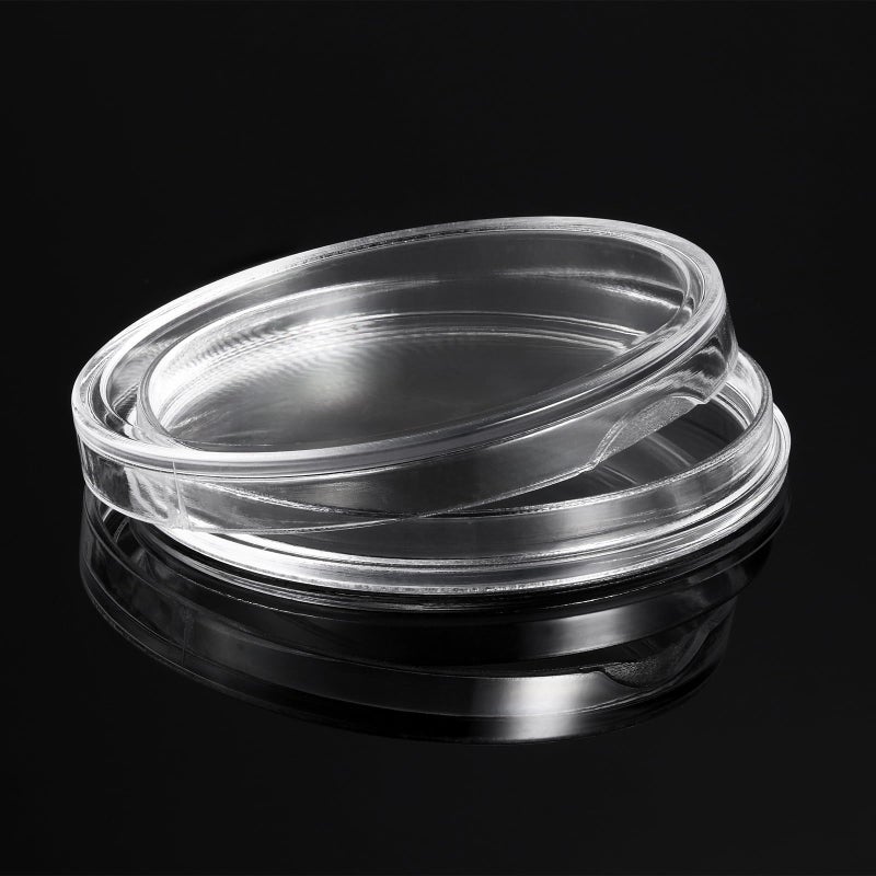 Coin Capsules 240-Pack Thick PS Plastic - Dustproof Oxidation-Resistant Coin Holders for Numismatic Coin Collectors Storage - Image 5