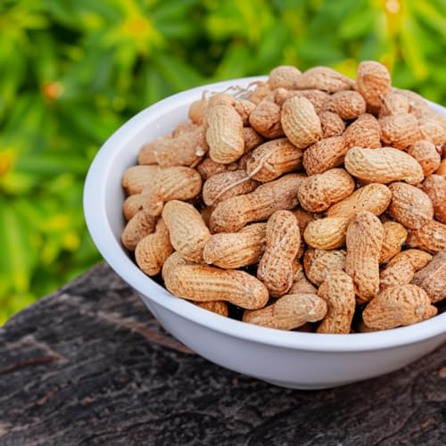 Naturalee Peanuts, In Shell 2 lbs - Roasted, Salted - Natural Healthy Snack - Image 2