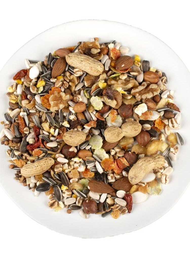 Nut Snack for Parrots 750g– Premium Blend of Nuts, Seeds & Dried Fruits, Healthy & Nutritious Treat for Parrots & Large Birds - pzsku/Z8C57336A9FB610EB9428Z/45/1741145699/fd321924-1233-4a88-8a28-819d908cda63