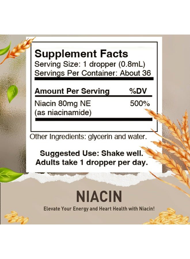 HoneyCombs Vitamin B3-Niacin 80mg Niacin Equivalent Drops – Vitamin B Liquid Niacin Drops – Alcohol-Free, Non-GMO Niacin Supplement 1oz - Image 2