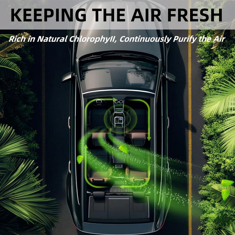 StandSky Car Air Freshener Refill, Smart Car Air Freshener Refill, Car Diffuser Refill, Aromatizante Para Carro Refill, 3 pcs Long Lasting Aroma Replacement for Car Diffuser(Cologne) - Image 4