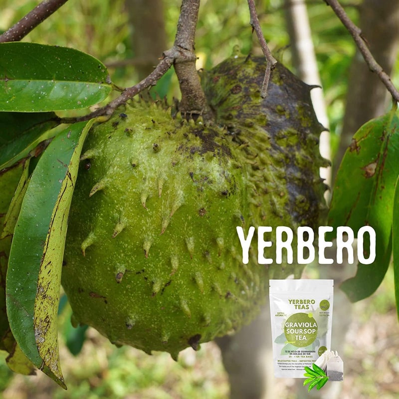 YERBERO أوراق جرافيولا السورسيوب المجففة بالكامل من ييربيرو - 8 أونصات - Image 4