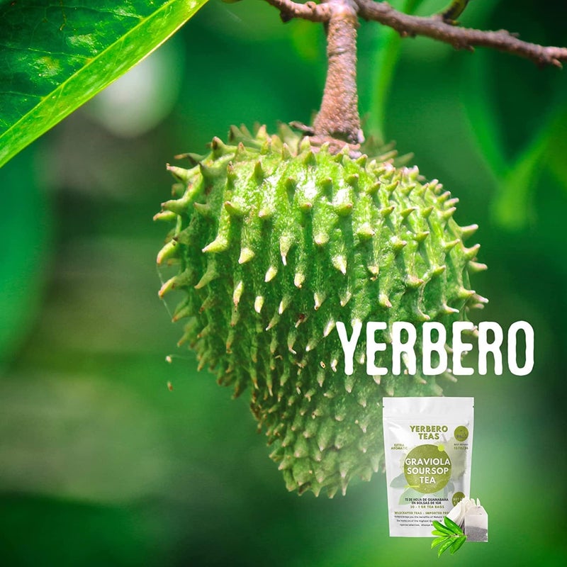 YERBERO أوراق جرافيولا السورسيوب المجففة بالكامل من ييربيرو - 8 أونصات - Image 2