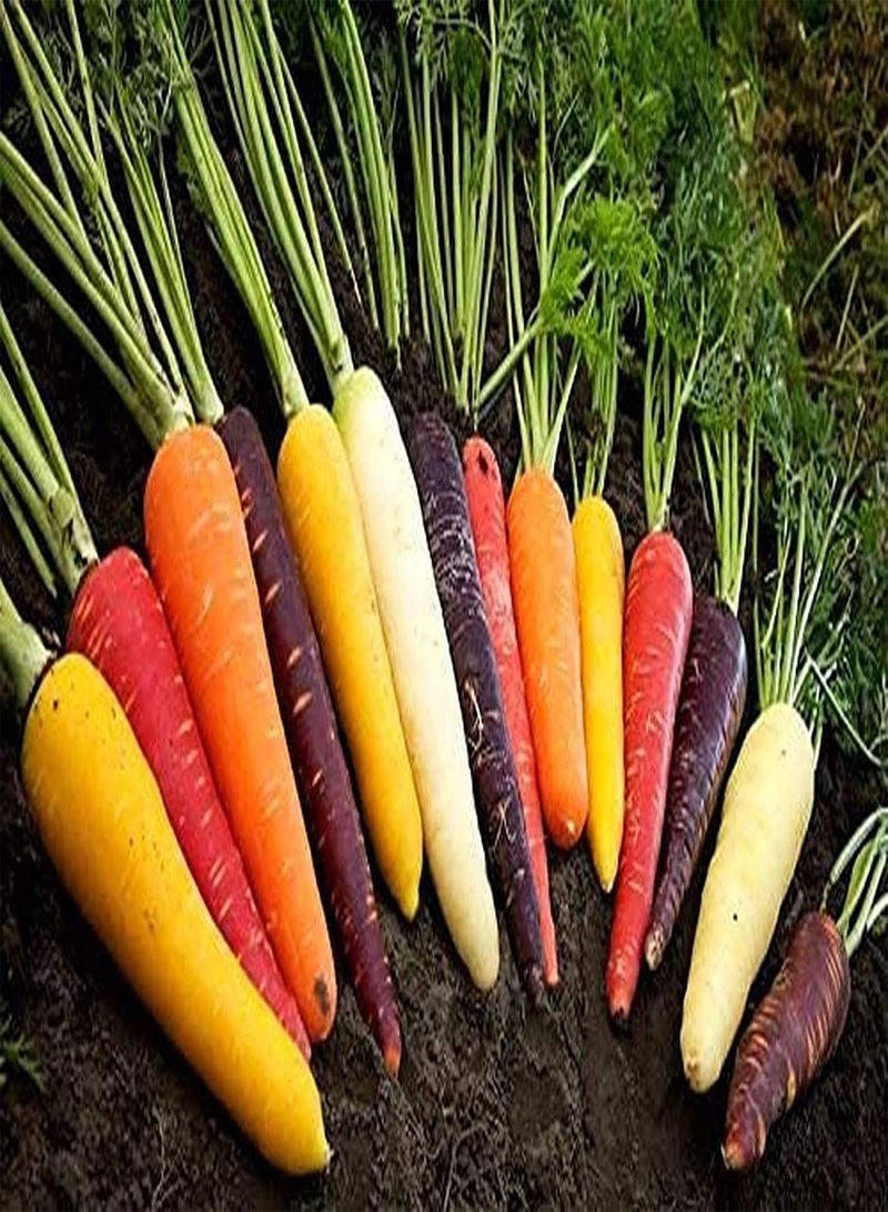 GGOOT 100Pcs Mixed Carrot Seeds Naturally Grown Green Vegetables Fresh Non-GMO Seeds for Home Garden Planting - Image 3