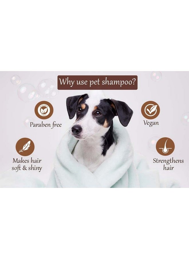 بت شامبو الكلاب Oh My Dog Ultimate De-Tanging الخالي من البارابين مع فرشاة توزيع شامبو الكلاب الصغيرة الناعمة من السيليكون (1000 مل)  - Image 2