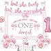 Blisstock Pink Bow First Birthday Decorations Isnt She Onederful Bow Banner Backdrop Cake Topper Pink Bow One High Chair Banner Balloon Coquette Party Decors for Girls Isnt She Lovely Party Supplies - Image 2
