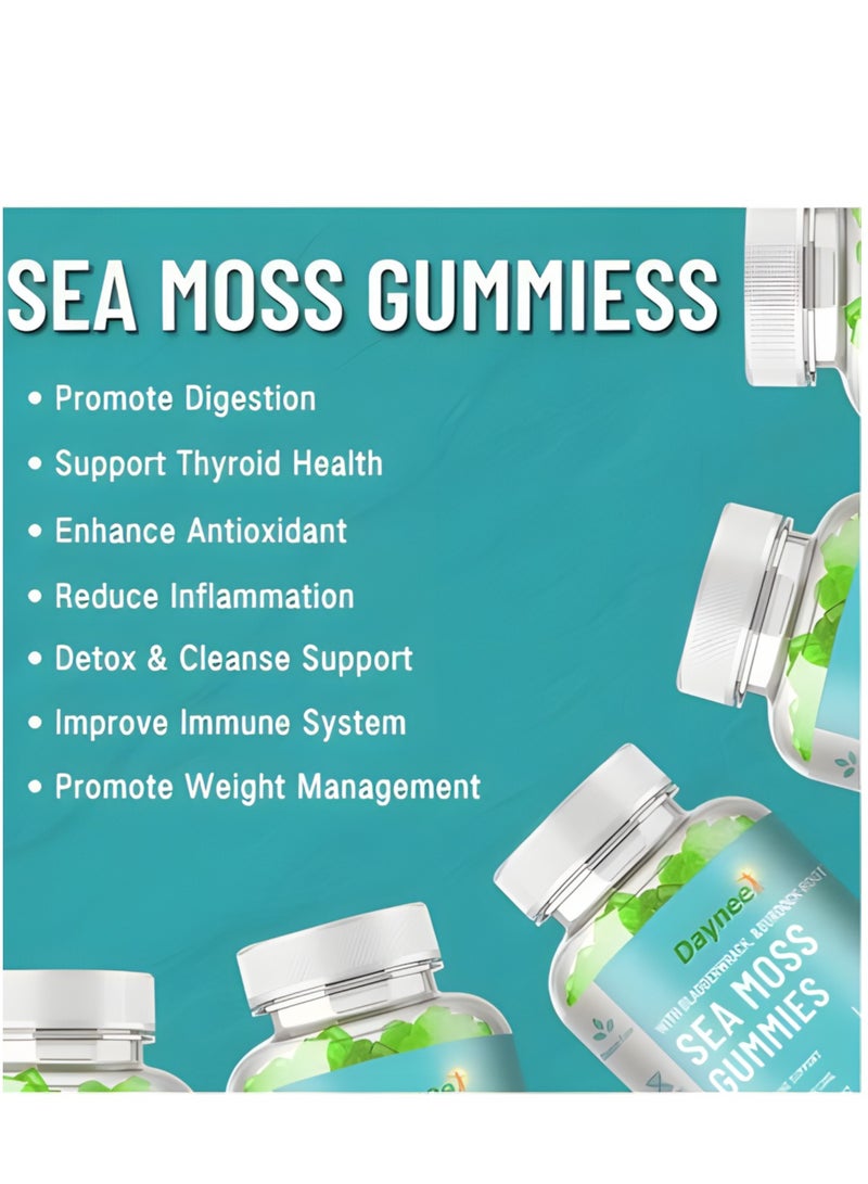 Daynee Organic Sea Moss Gummies Weight Loss Thyroid Health High Immunity Support Detox and Cleanse with Organic Bladderwrack Burdock Root and Apple Cider Vinegar Supplement 60 Gummies Pack of 1  - Image 3