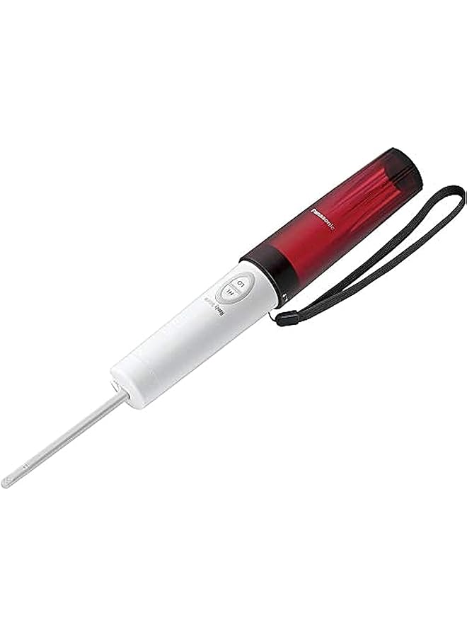 Panasonic Portable Handy Shower Red (Model Dl P300S Lr)