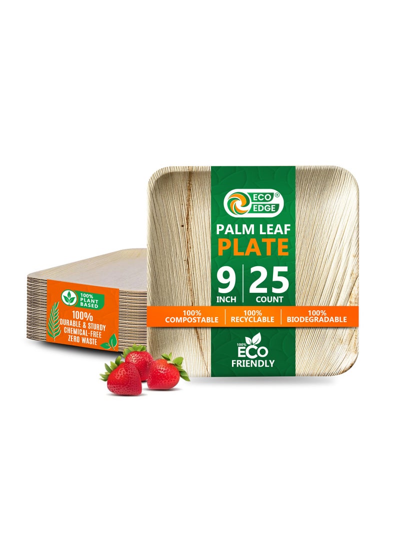 EcoEdge 9 Inch Square Areca Palm Leaf Disposable Plates (Pack of 25) | Fully Compostable, Organic, Biodegradable, Eco-Friendly and Naturally Disposable | Great for Parties & Travel | 100% Sustainable - Image 1