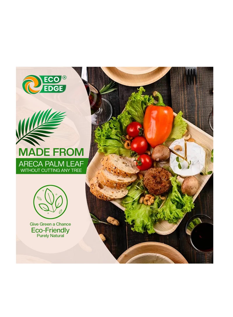 EcoEdge 9 Inch Square Areca Palm Leaf Disposable Plates (Pack of 25) | Fully Compostable, Organic, Biodegradable, Eco-Friendly and Naturally Disposable | Great for Parties & Travel | 100% Sustainable - Image 2
