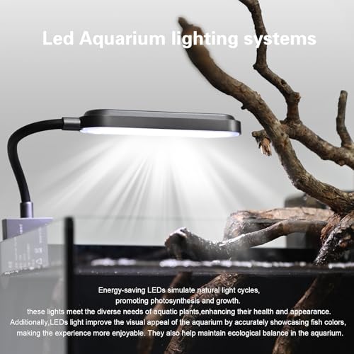 WURJHSONG 2.8 Gallon Small Aquarium Set Glass Fish Tank,Nano Nature Aquarium Kit with Waterfall Filter and Light for Beginners and Children to Keep Betta Fish, Goldfish, Shrimp, and Aquatic Plants - Image 4