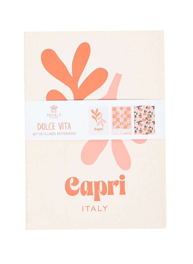 Prickly Pear - Set Of 3 Dolce Vita B5 Size Notebooks - Image 1