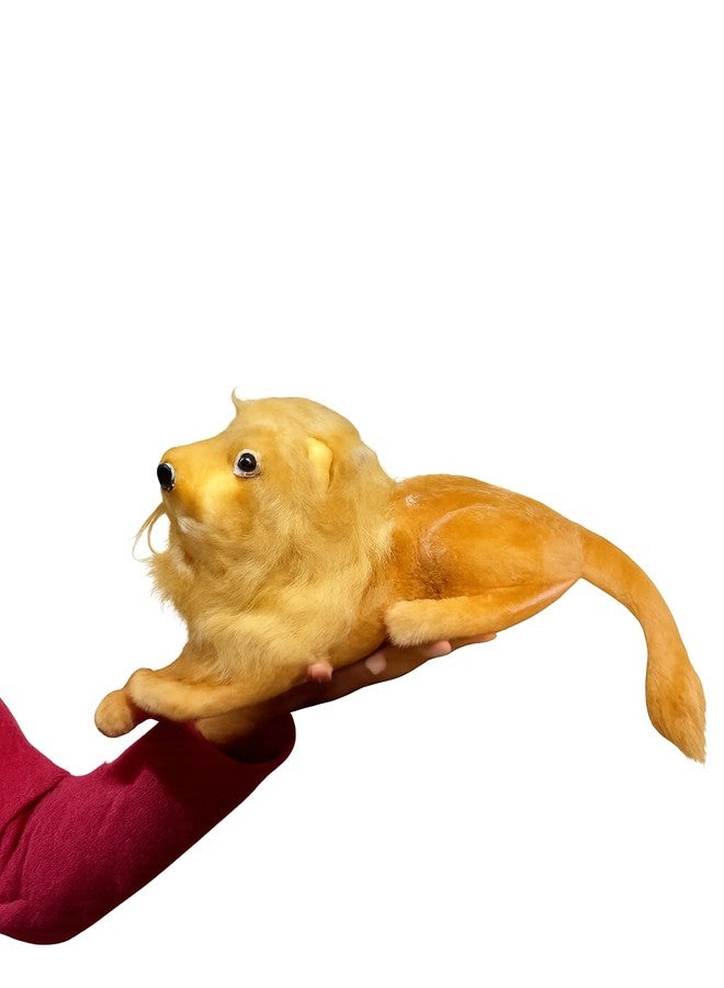 Anika 32 cm Lion Soft Toy for Children - Image 4
