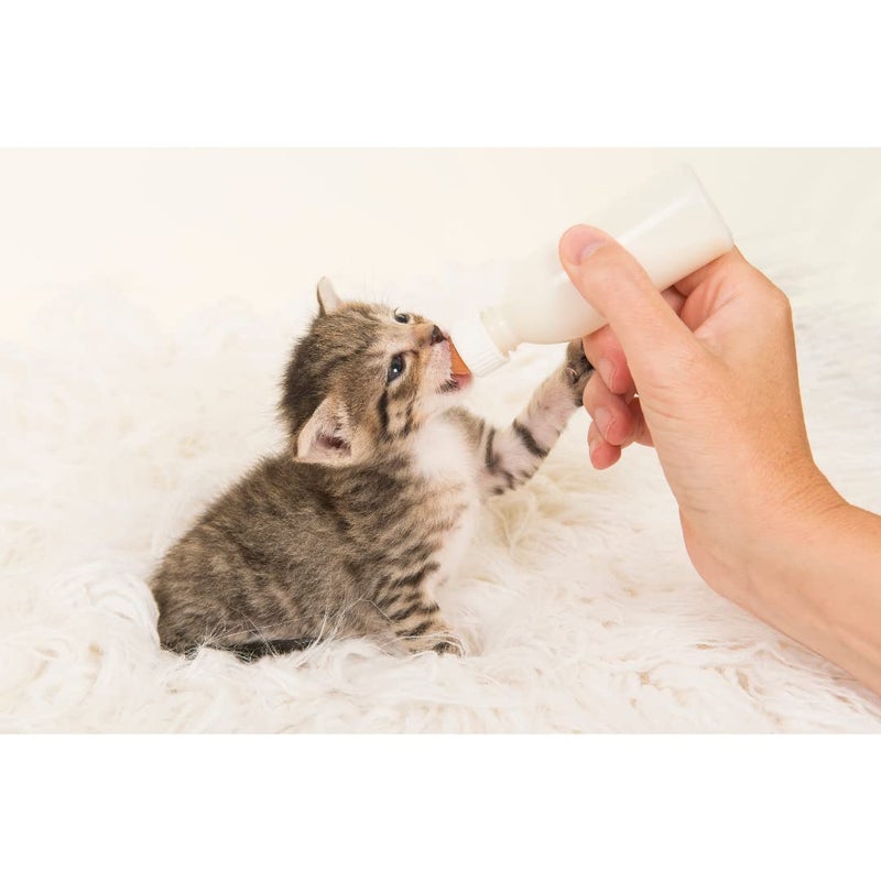 TRIXIE :-Suckling Bottle Set For Orphaned Baby Animals|Set For Feeding Baby Animals To Support New-Born Animals And Provide Orphaned Animals With Liquid And Food, 120 Ml - Image 5