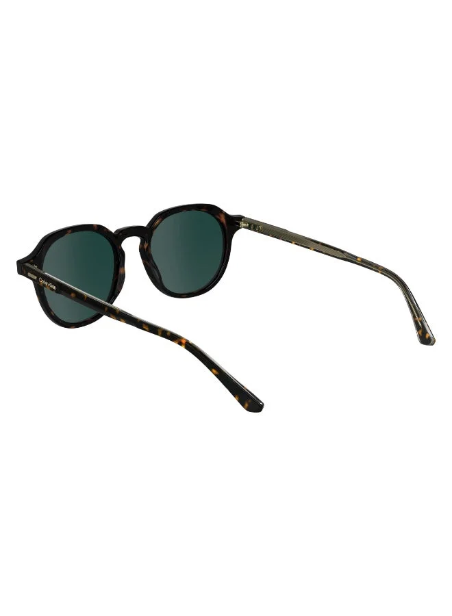 CALVIN KLEIN  FULL RIM ACETATE CALVIN KLEIN SUN CK24538SN for Men | Best Price UAE