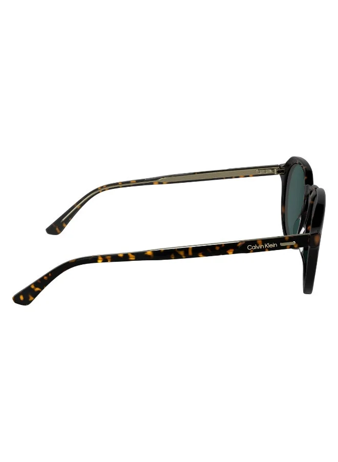CALVIN KLEIN  FULL RIM ACETATE CALVIN KLEIN SUN CK24538SN for Men | Best Price UAE