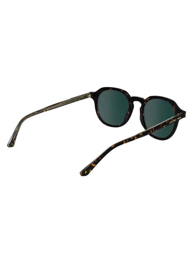 CALVIN KLEIN  FULL RIM ACETATE CALVIN KLEIN SUN CK24538SN for Men | Best Price UAE