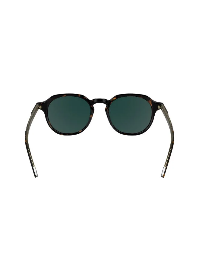 CALVIN KLEIN  FULL RIM ACETATE CALVIN KLEIN SUN CK24538SN for Men | Best Price UAE