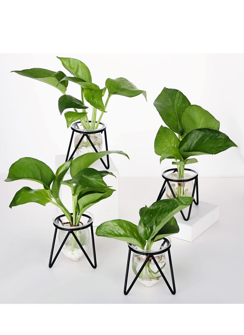SYOSI Glass Plant Propagation with Metal Stand Hydroponic Plant Terrarium Vases Tabletop Plant Propagation Station for Flowers Home Garden Office Decoration, Black (4PCS)  - Image 1