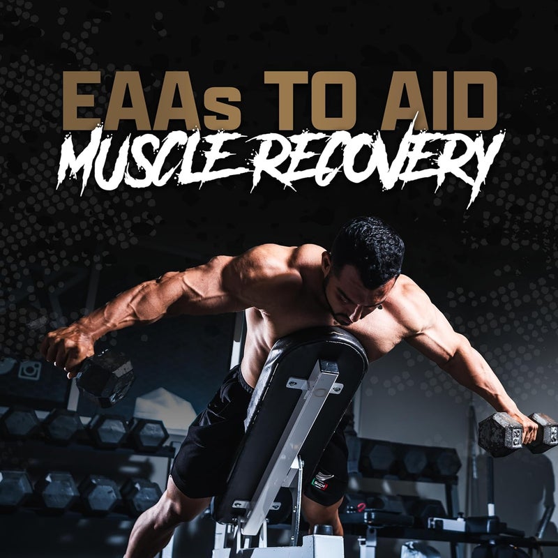 Nutrex Research مسحوق بروتين مصل الحليب بالشوكولاتة من نوتريكس ريسيرش 100 مكمل بروتين مصل الحليب  معزز لبناء العضلات  بروتين استعادة مع إنزيمات هضمية للرجال والنساء  25 جرام بروتين شوكولاتة  2 باوند - Image 3