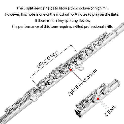 Cadway New C Flutes Closed Hole 16 Keys Flute for Beginner Flute Instrument with Cleaning Kit, Stand, , Gloves, Tuning Rod,Carrying Case, Nickel (Nickel) - Image 2