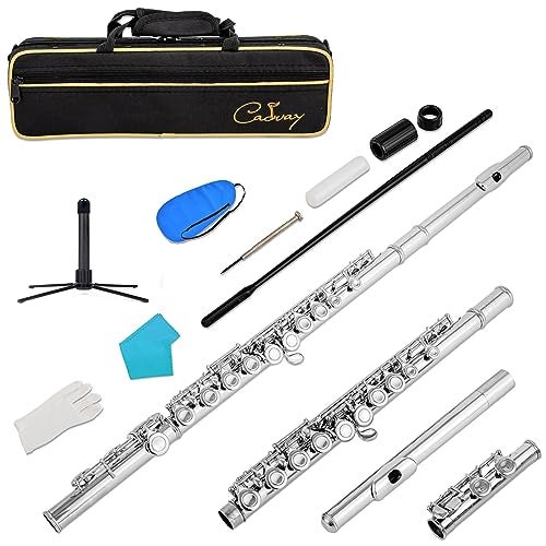 Cadway New C Flutes Closed Hole 16 Keys Flute for Beginner Flute Instrument with Cleaning Kit, Stand, , Gloves, Tuning Rod,Carrying Case, Nickel (Nickel) - Image 1