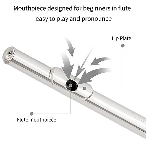 Cadway New C Flutes Closed Hole 16 Keys Flute for Beginner Flute Instrument with Cleaning Kit, Stand, , Gloves, Tuning Rod,Carrying Case, Nickel (Nickel) - Image 4