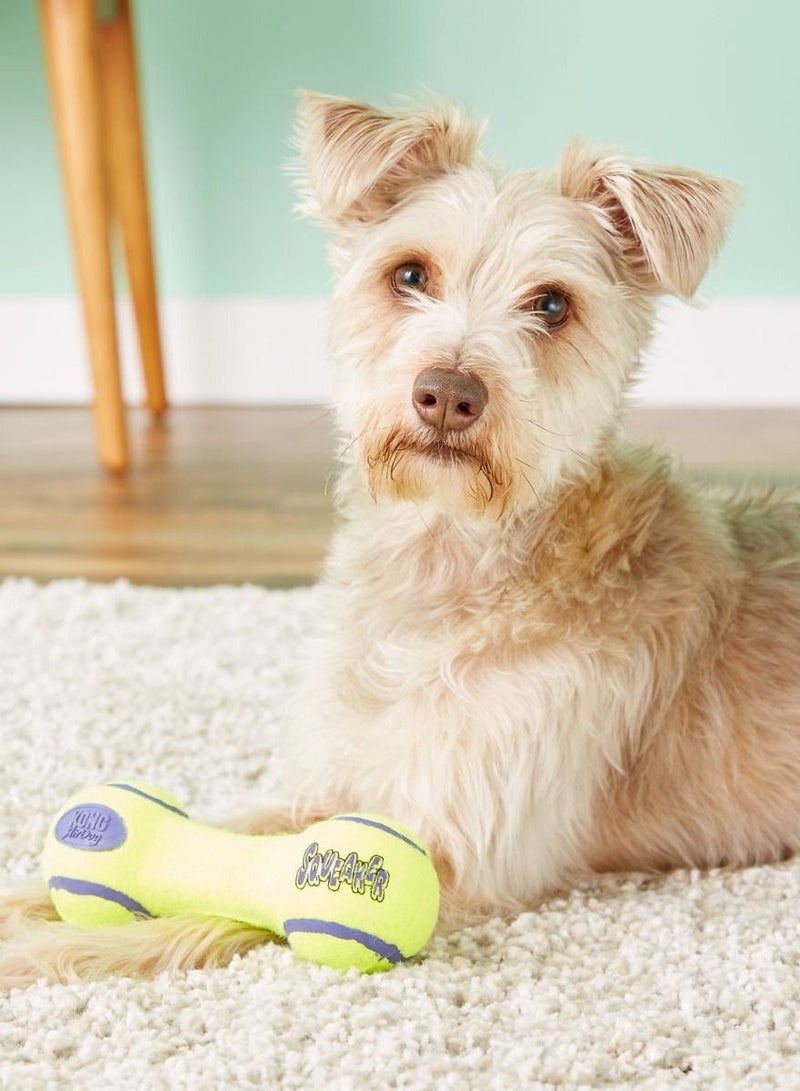 Kong لعبة كلب هوائية صفارة دمبل أخضر صغير