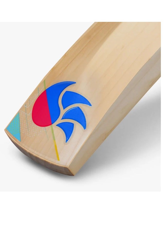 دي أس سي DSC شغف شديد مضرب الكريكيت - Image 3