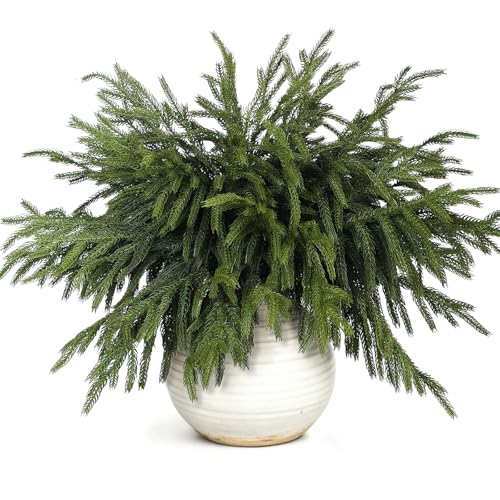 VIERENA 20 Pcs Christmas Norfolk Pine Branches -18" Real Touch Artificial Norfolk Pine Branch Faux Plants Stem Fake Greenery Pine Picks for Vase DIY Crafts Garland Wreath Home Indoor Outdoor Decoration - Image 1