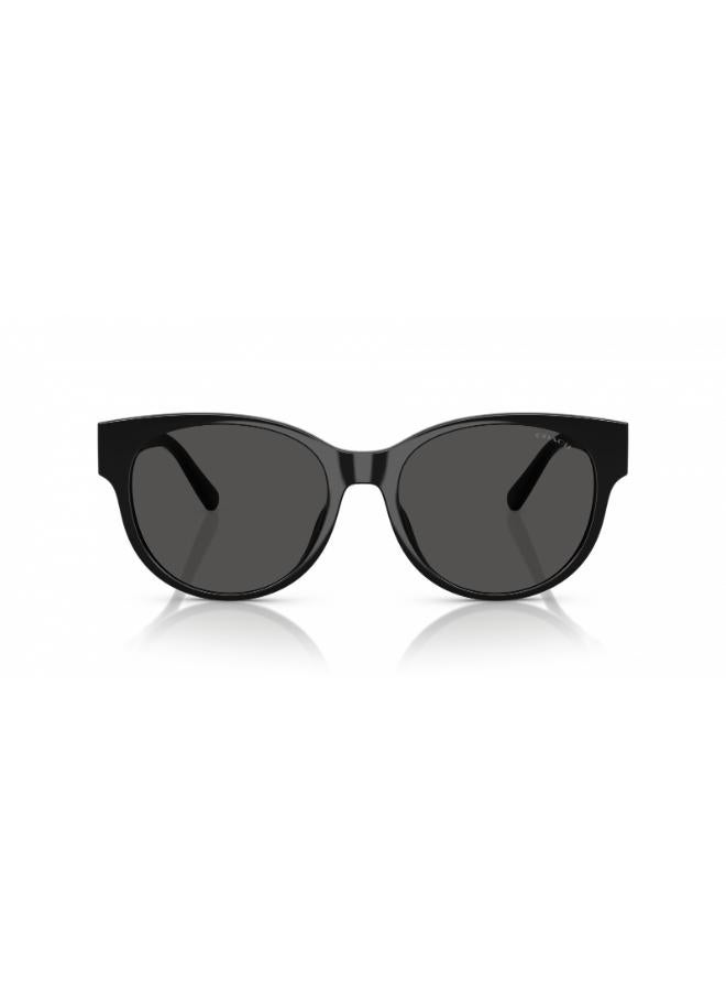 كوتش نظارة شمسية دائرية كاملة الإطار 8430D 500287 - Image 4