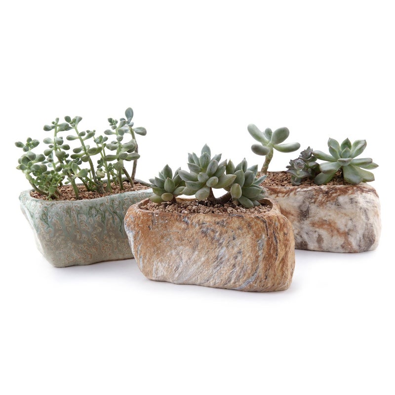 T4U 5.5 Inch Ceramic Succulent Pot Planter with Drainage Hole Set of 3, Stone Shape Rectangle Window Box Cactus Plant Containers Gift for Mom Sister Aunt Best for Home Office Table Desk Decoration - Image 1