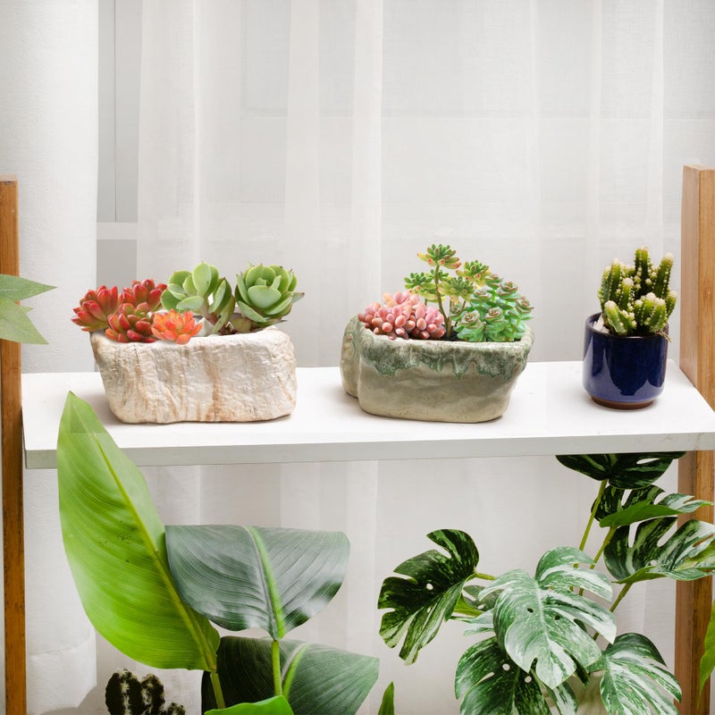 T4U 5.5 Inch Ceramic Succulent Pot Planter with Drainage Hole Set of 3, Stone Shape Rectangle Window Box Cactus Plant Containers Gift for Mom Sister Aunt Best for Home Office Table Desk Decoration - Image 5