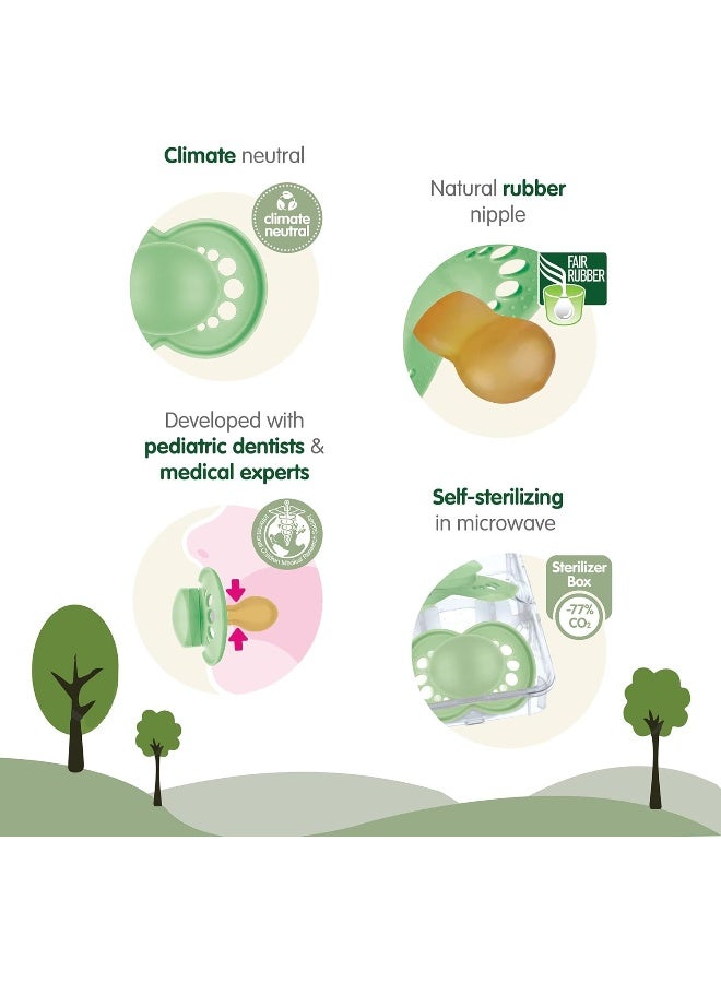 MAM ممص أصلي نقي من مAM، مصاصة مطاط طبيعي محايدة مناخياً، مواد خام مستدامة وقابلة للتجديد حيوياً، علبة تعقيم، ولد، 6-16 شهراً، عبوة من 2 - Image 2