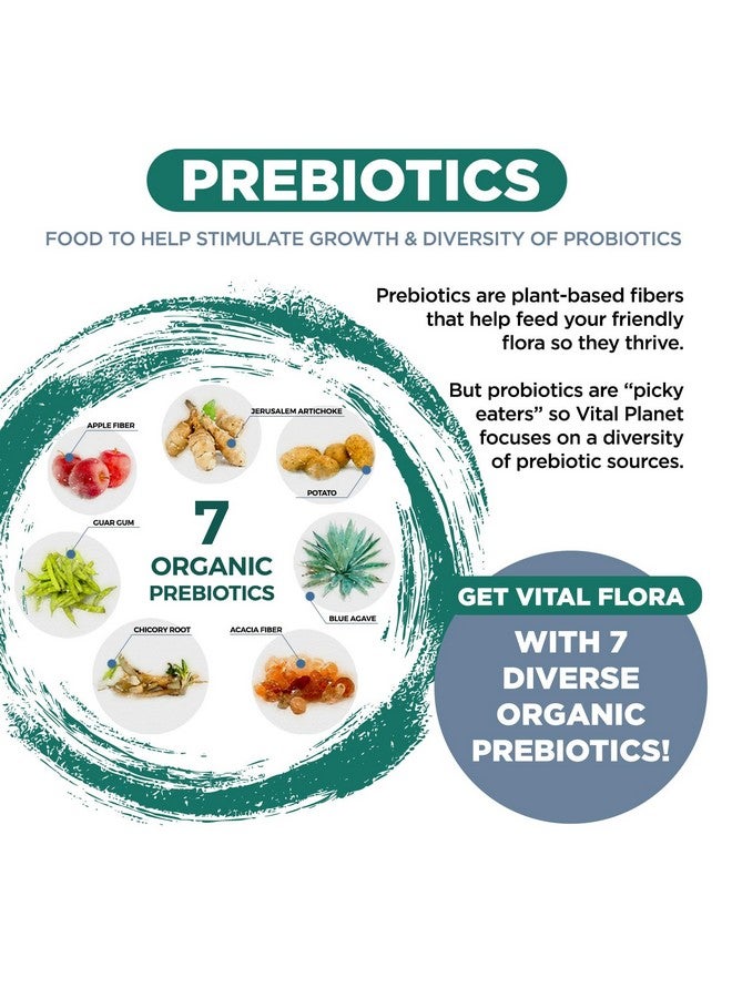 Vital Planet - Vital Flora Men’s Daily Probiotic, 60 Billion CFU, 60 Diverse Strains, 7 Organic Prebiotics, Immune Support, Gas Relief, Digestive Health Shelf Stable Probiotics for Men 60 Capsules - Image 5