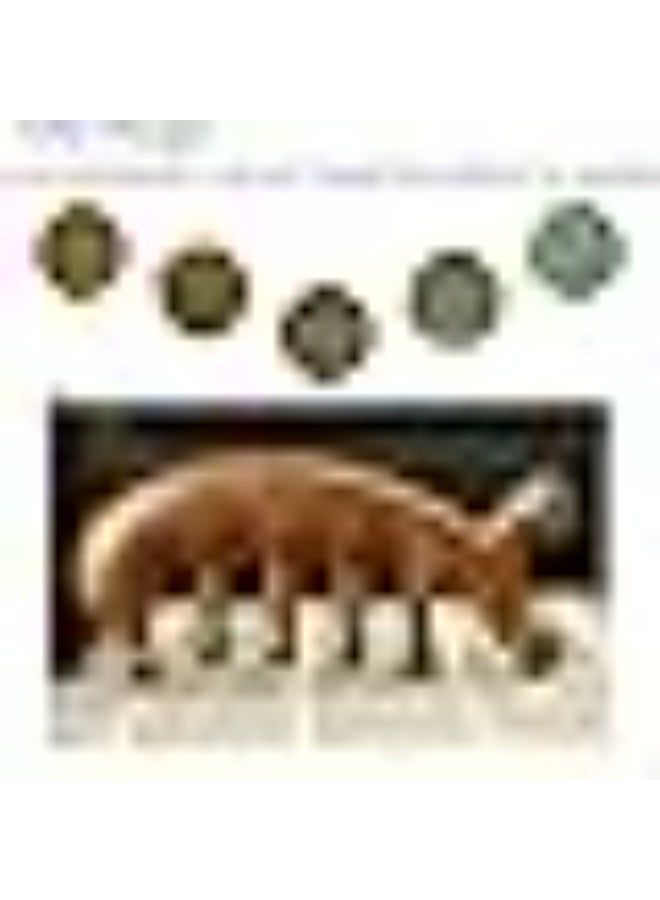 مشط خشبي لتدليك فروة الراس - مشط غوا شا باسنان عريضة من خشب الصندل الطبيعي - اداة تدليك يدوية للراس للعين والانف والوجه والرقبة والظهر والقدم والساقين (مقاس M) - Image 2