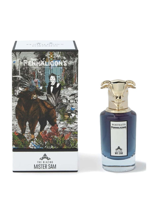 Mr Sam Edp 100Ml