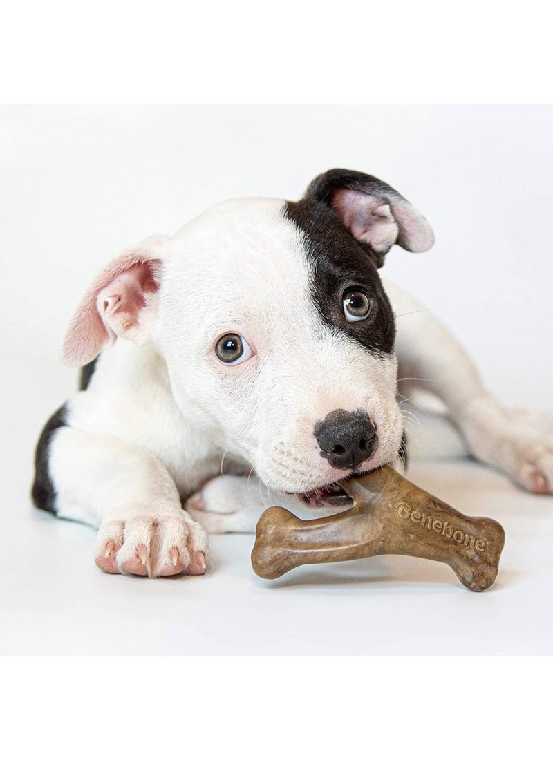 Benebone Puppy Dental Chew Wishbone Tiny Bacon  - Image 3