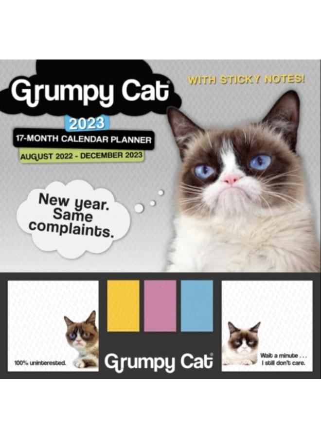 GRUMPY CAT ITS ALL DOWNHILL FROM HERE 