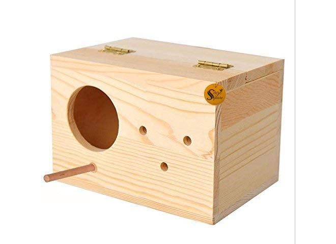 Sage Square Natural Wood Mountable Nest Cum Breeding Box with Perch Attached for Birds (6") - Image 5