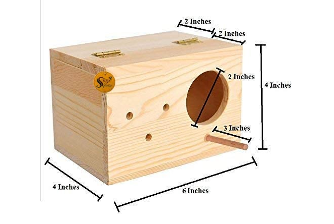 Sage Square Natural Wood Mountable Nest Cum Breeding Box with Perch Attached for Birds (6") - Image 4