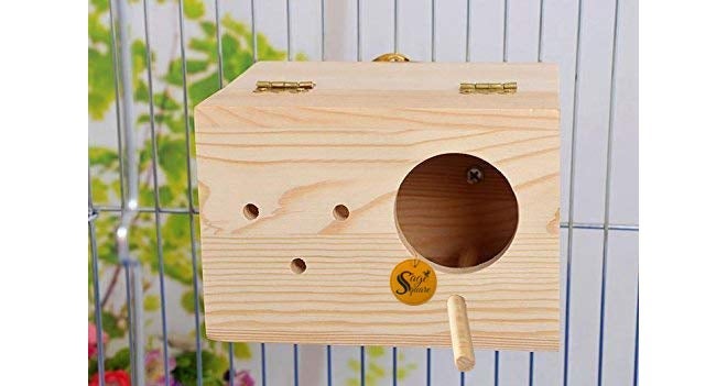 Sage Square Natural Wood Mountable Nest Cum Breeding Box with Perch Attached for Birds (6") - Image 3
