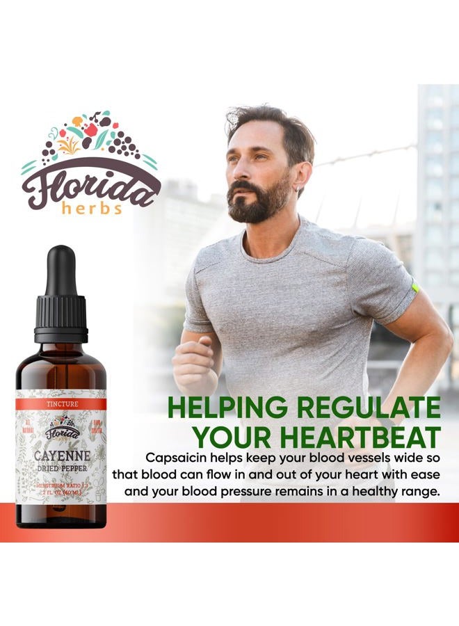 FLORIDA HERBS مستخلص صبغة الكايين، كايين عضوي (كابسيسوم أنوم) فلفل مجفف - جليسرين نباتي - غير معدل وراثيًا - 2 أونصة - Image 2