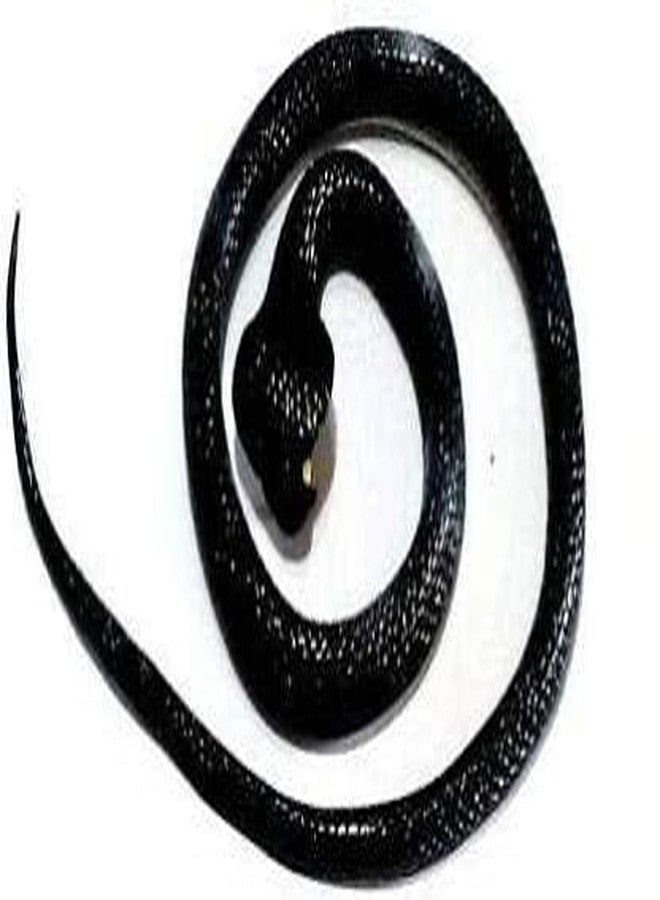 Munmoll Fun Cobra Snake Toys for Kids Long Rubber Snake Toy Prank Toy Snake for Kids (Black) - Image 2