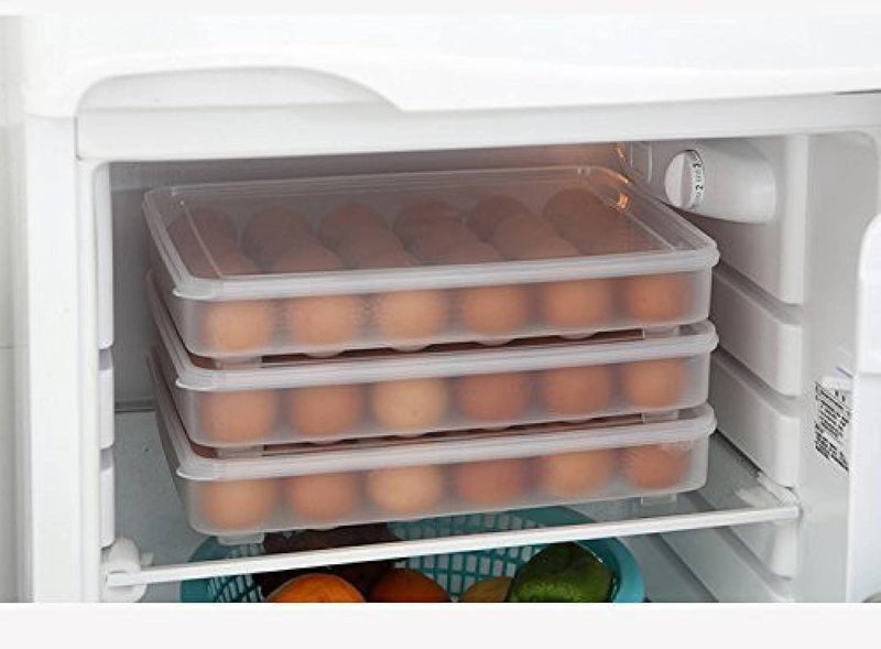 RUDRISHA Rudrisha Plastic Egg Storage Box Single Layer 24 Grids with Lid Egg Basket Tray Useful for Home Kitchen Poultry Multicolor 1Pcs  - Image 2
