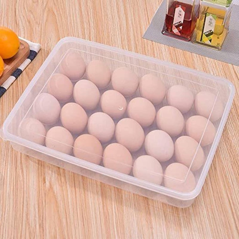 RUDRISHA Rudrisha Plastic Egg Storage Box Single Layer 24 Grids with Lid Egg Basket Tray Useful for Home Kitchen Poultry Multicolor 1Pcs  - Image 1