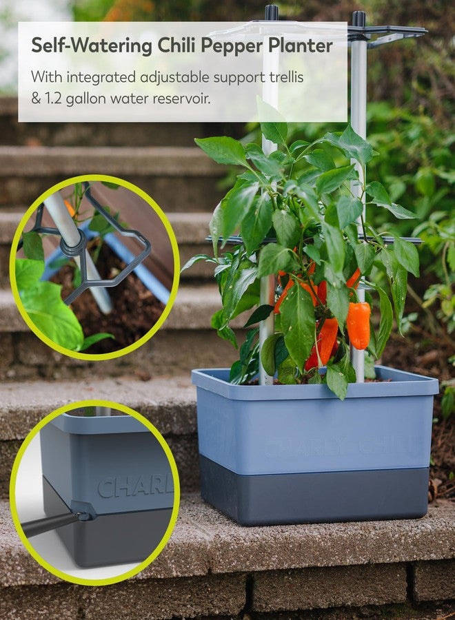 BUZZY Seeds Charly Chili Vertical Plant Tower - Self-Watering 1.2 Gal Reservoir, Durable Trellis, .35 Cubic ft Soil, Vertical Garden Planter for Chili, Bell Peppers & Eggplants - Blue - Image 2