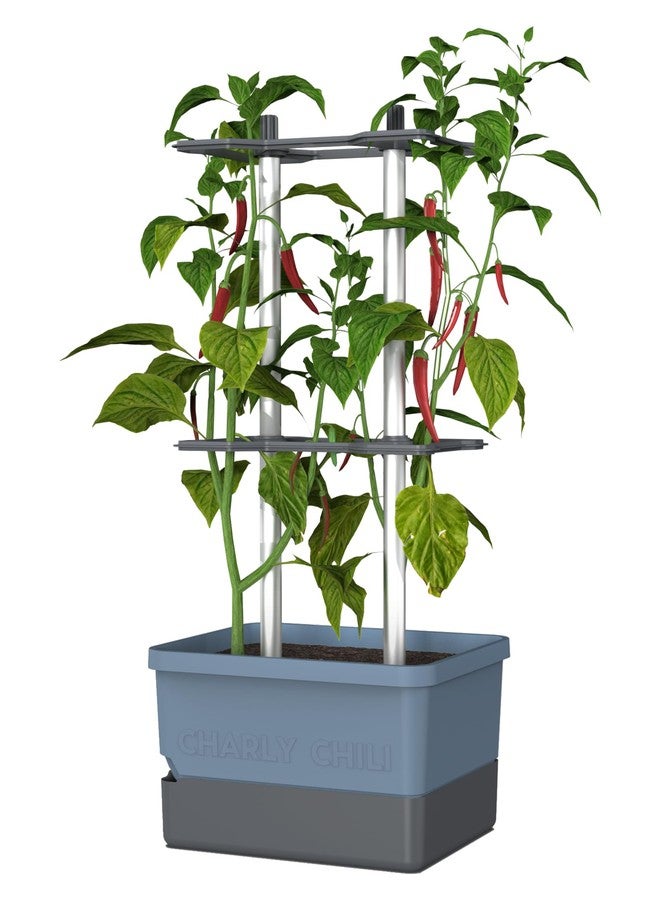 BUZZY Seeds Charly Chili Vertical Plant Tower - Self-Watering 1.2 Gal Reservoir, Durable Trellis, .35 Cubic ft Soil, Vertical Garden Planter for Chili, Bell Peppers & Eggplants - Blue - Image 1