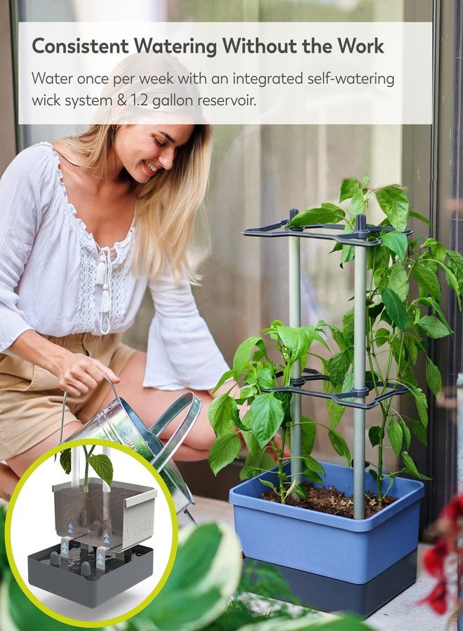 BUZZY Seeds Charly Chili Vertical Plant Tower - Self-Watering 1.2 Gal Reservoir, Durable Trellis, .35 Cubic ft Soil, Vertical Garden Planter for Chili, Bell Peppers & Eggplants - Blue - Image 4