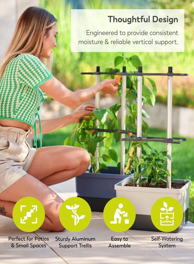 BUZZY Seeds Charly Chili Vertical Plant Tower - Self-Watering 1.2 Gal Reservoir, Durable Trellis, .35 Cubic ft Soil, Vertical Garden Planter for Chili, Bell Peppers & Eggplants - Blue - Image 3